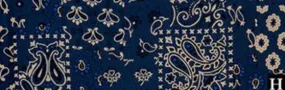 Blue Silk Paisley Bandana Wild Rag