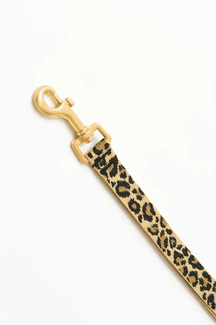 Gentle 2-Handle Dog Leash - Leopard