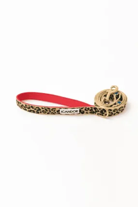 Gentle 2-Handle Dog Leash - Leopard